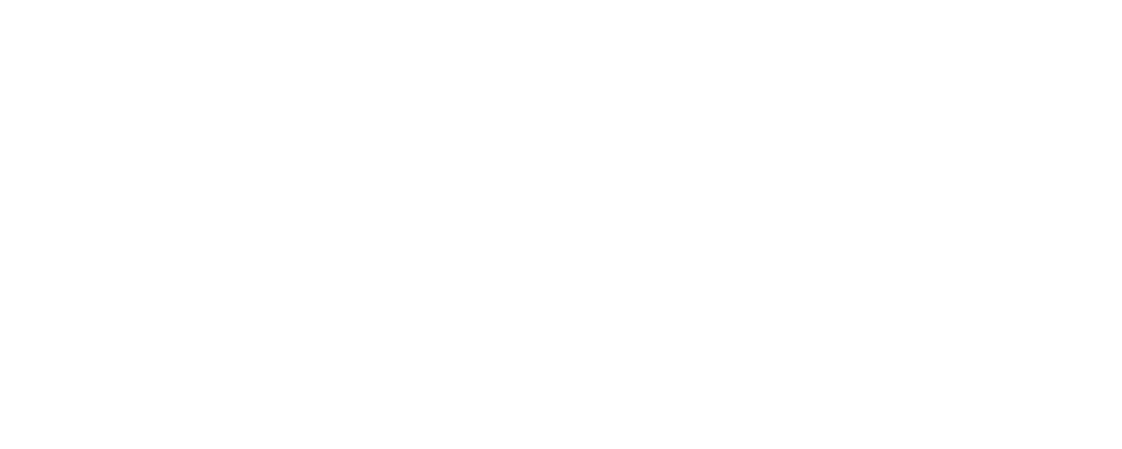 PLADUR